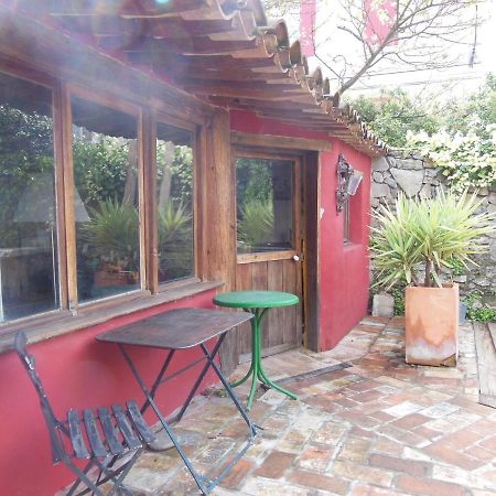 Maison Dans Jardin Villeseque-des-Corbieres Exteriör bild